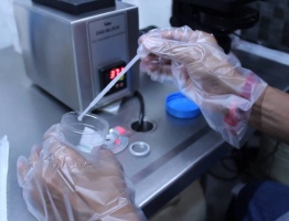 Цена на сперму