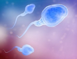 Фото: Низкая концентрация сперматозоидов