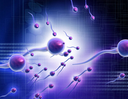 Фото: Сколько нужно спермы, чтобы забеременеть?