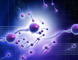 Цена на сперму