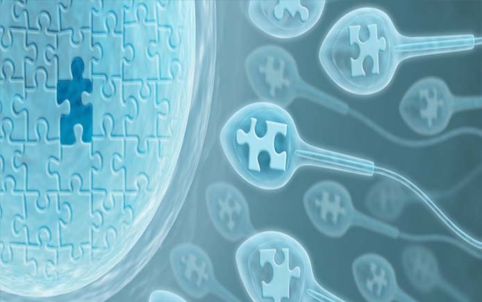 Фото: Этапы донорства