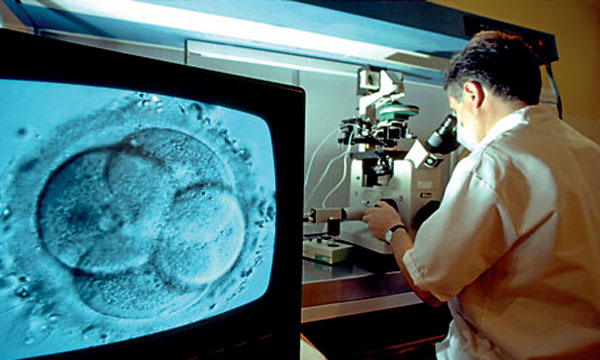 Фото:ЭКО с донорской яйцеклеткой