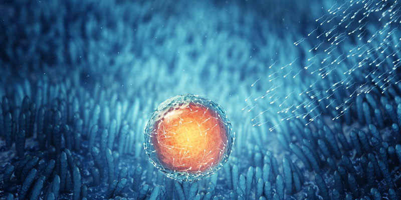 Фото:Куда обращаться потенциальному донору?